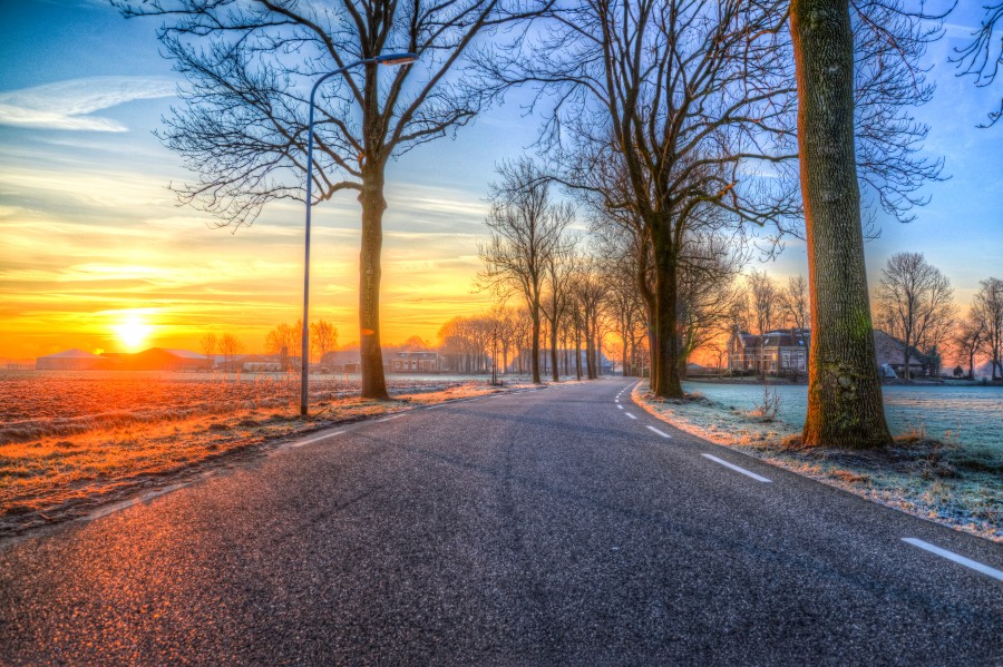 Road at cold sunset