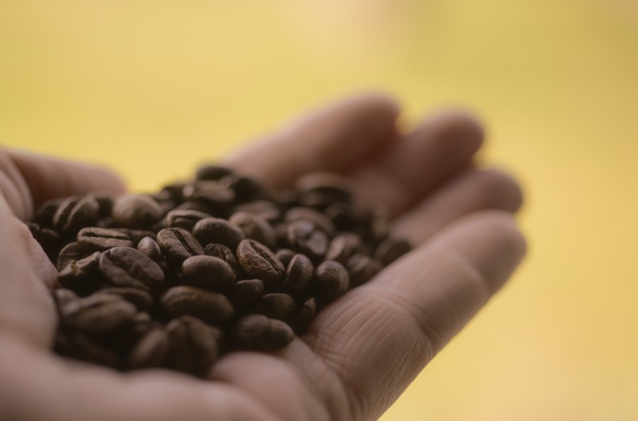 Holding coffee beans
