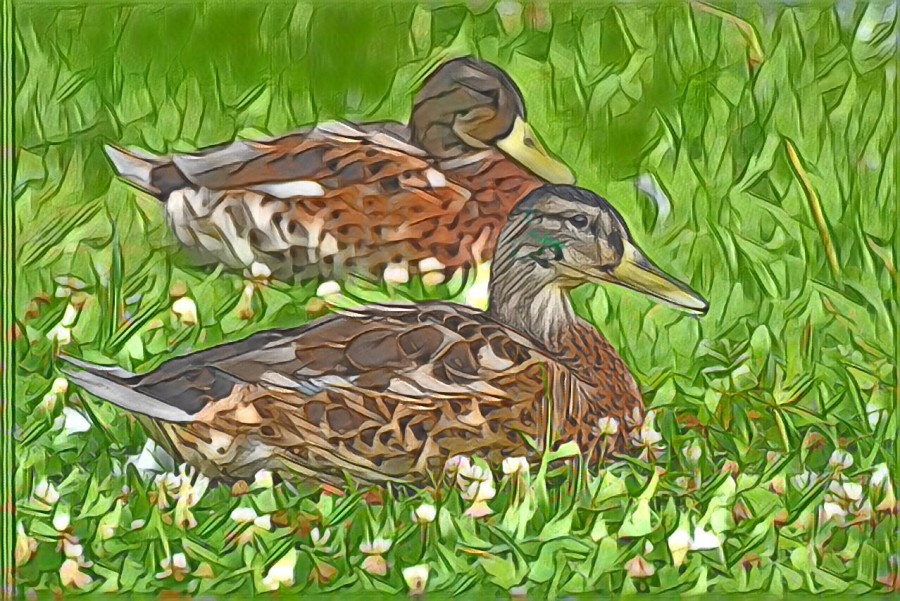 Painted ducks