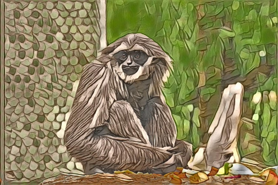 Painted monkey