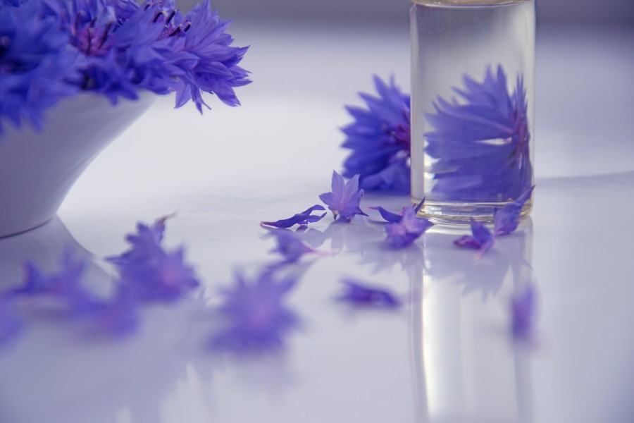 Cosmetic Oil and Cornflower Flowers