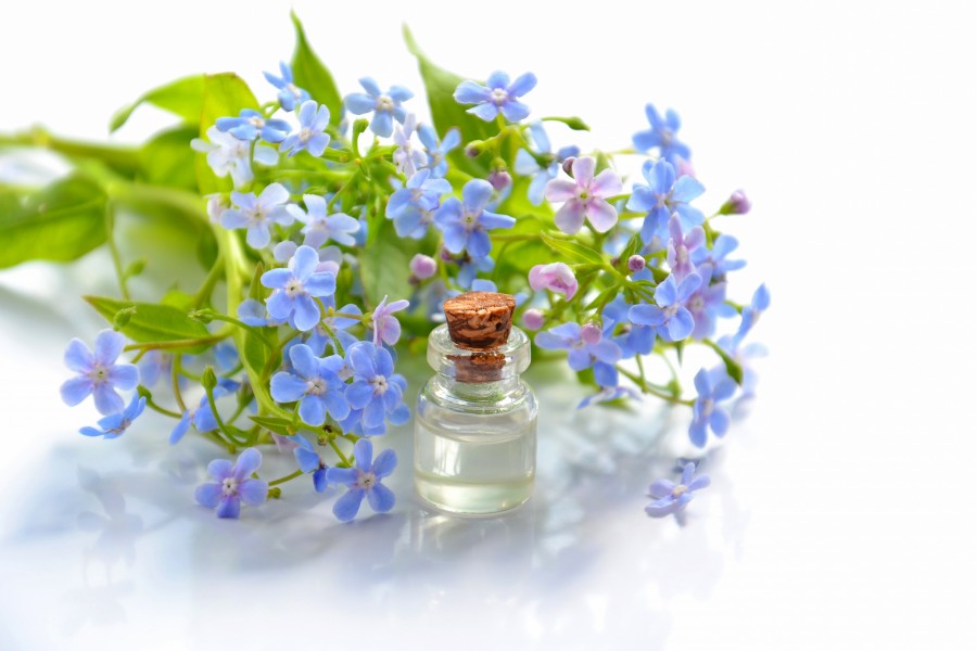 Essential oil and forget-me-nots