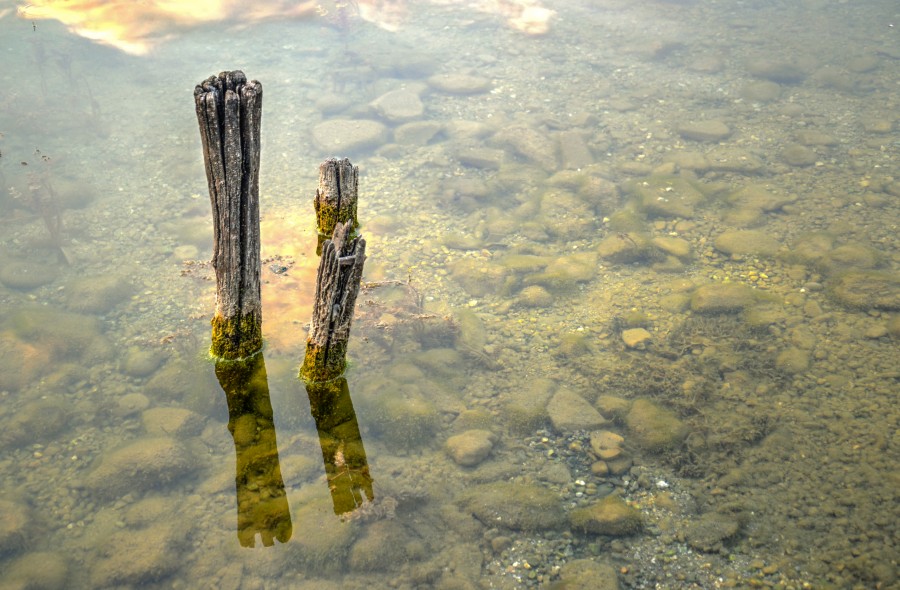 Sticks in the water