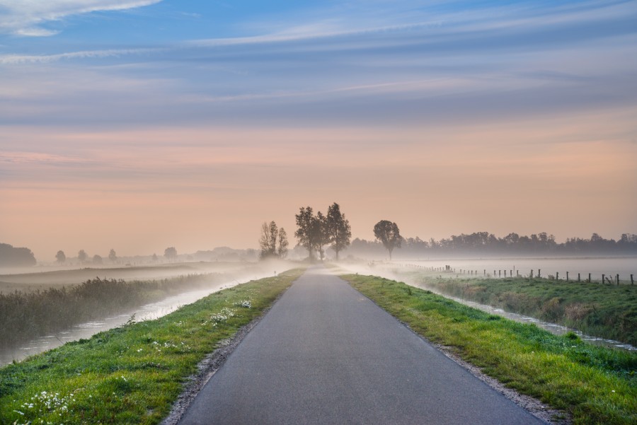 Rural road in fog