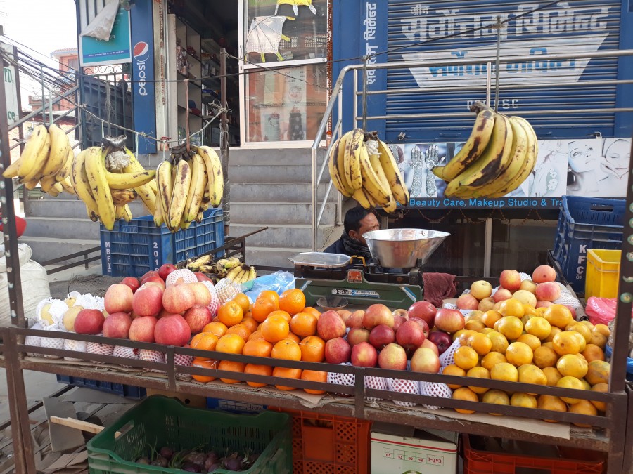 Fruit Marketing in Nepal