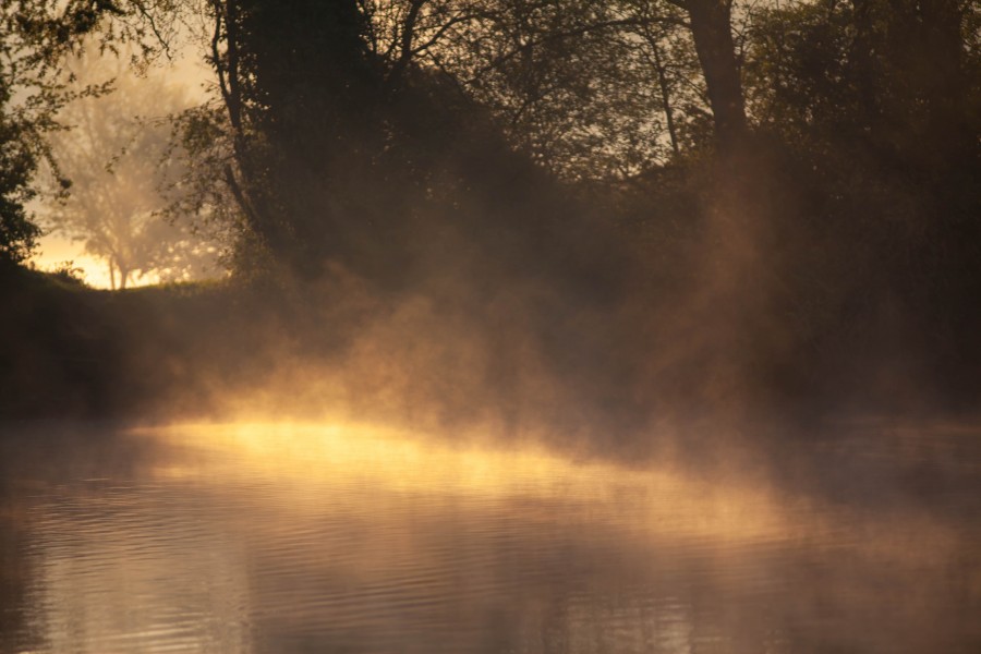 Mist on early morning lake