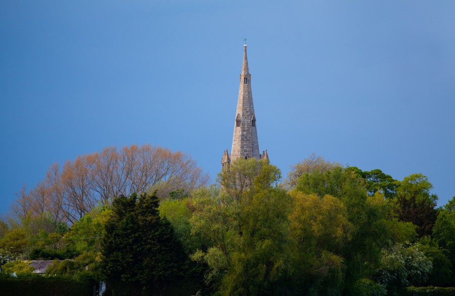 Church spire over trees