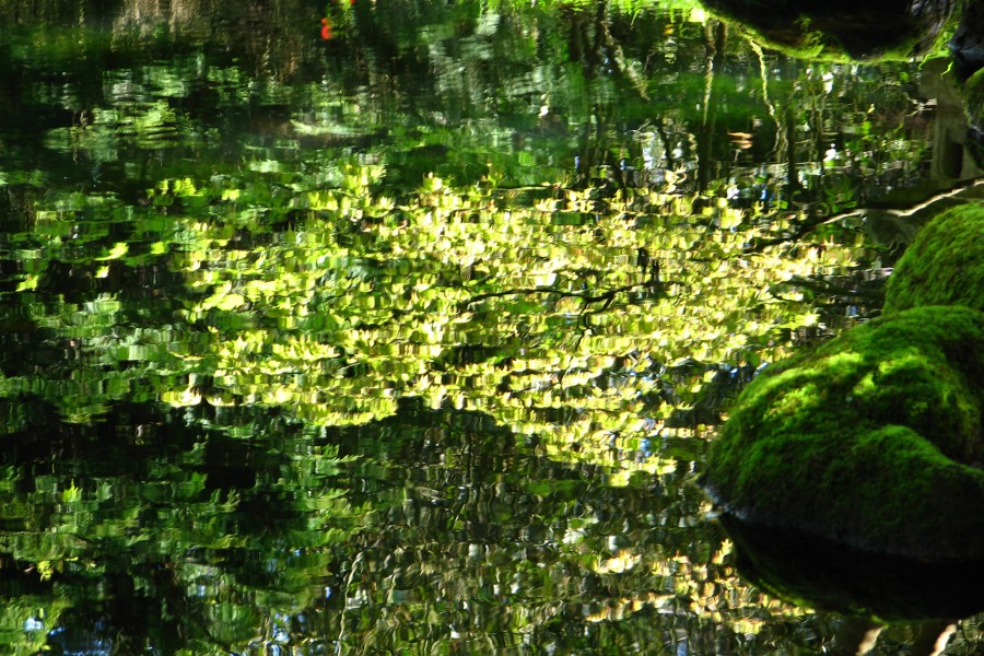 green water reflection