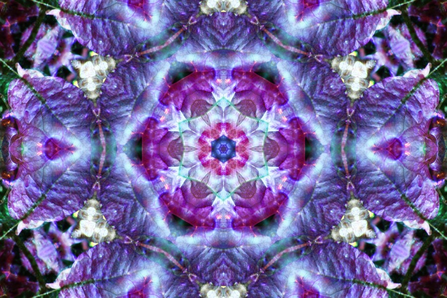 purple kaleidoscope design