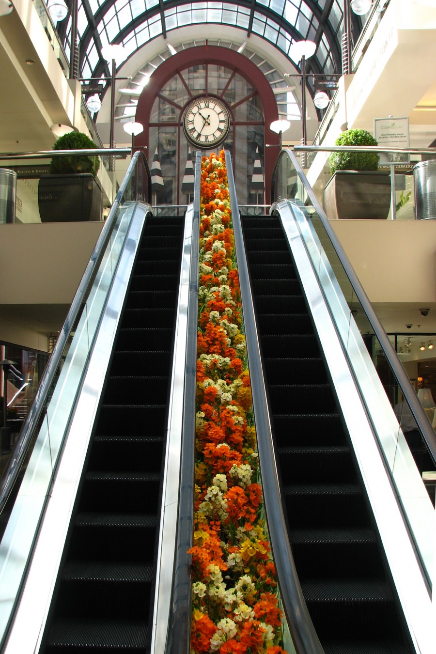 flower escalator