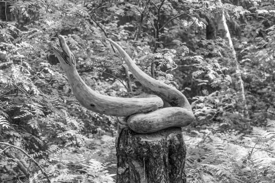 Wooden snake