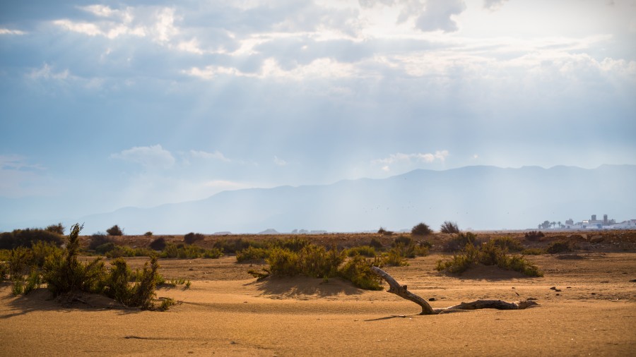 dry sand desert in Spain