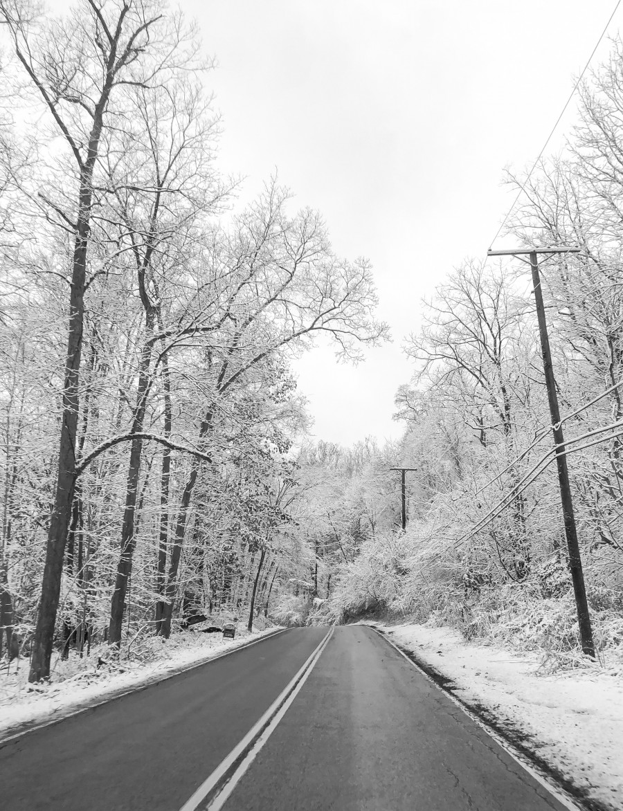 Black and White Winter Road