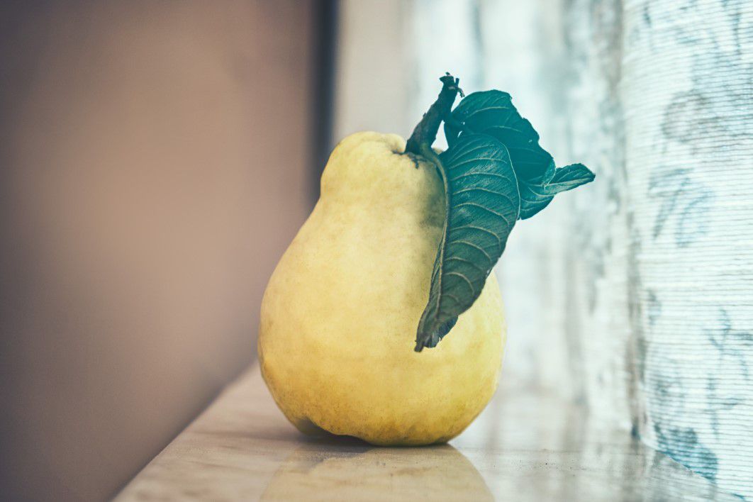 Cloesup Pear Fruit