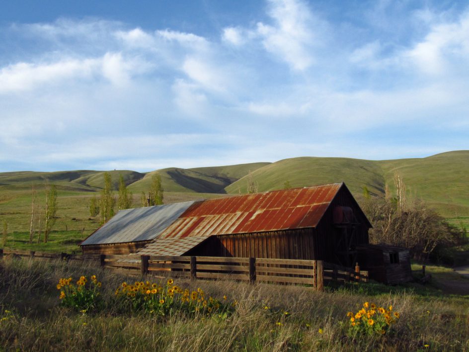 Rural Barn