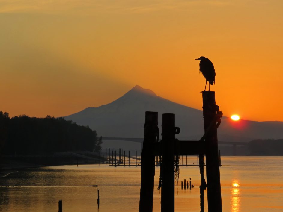 Bird Mountain Sunset