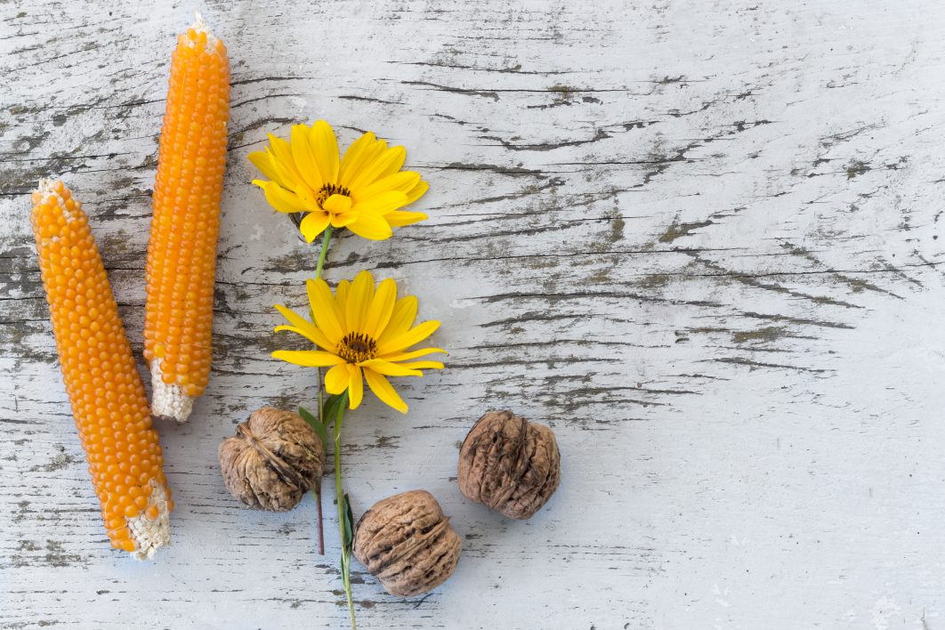 Rustic Corn and Flowers