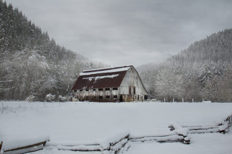 Old Barn Snow