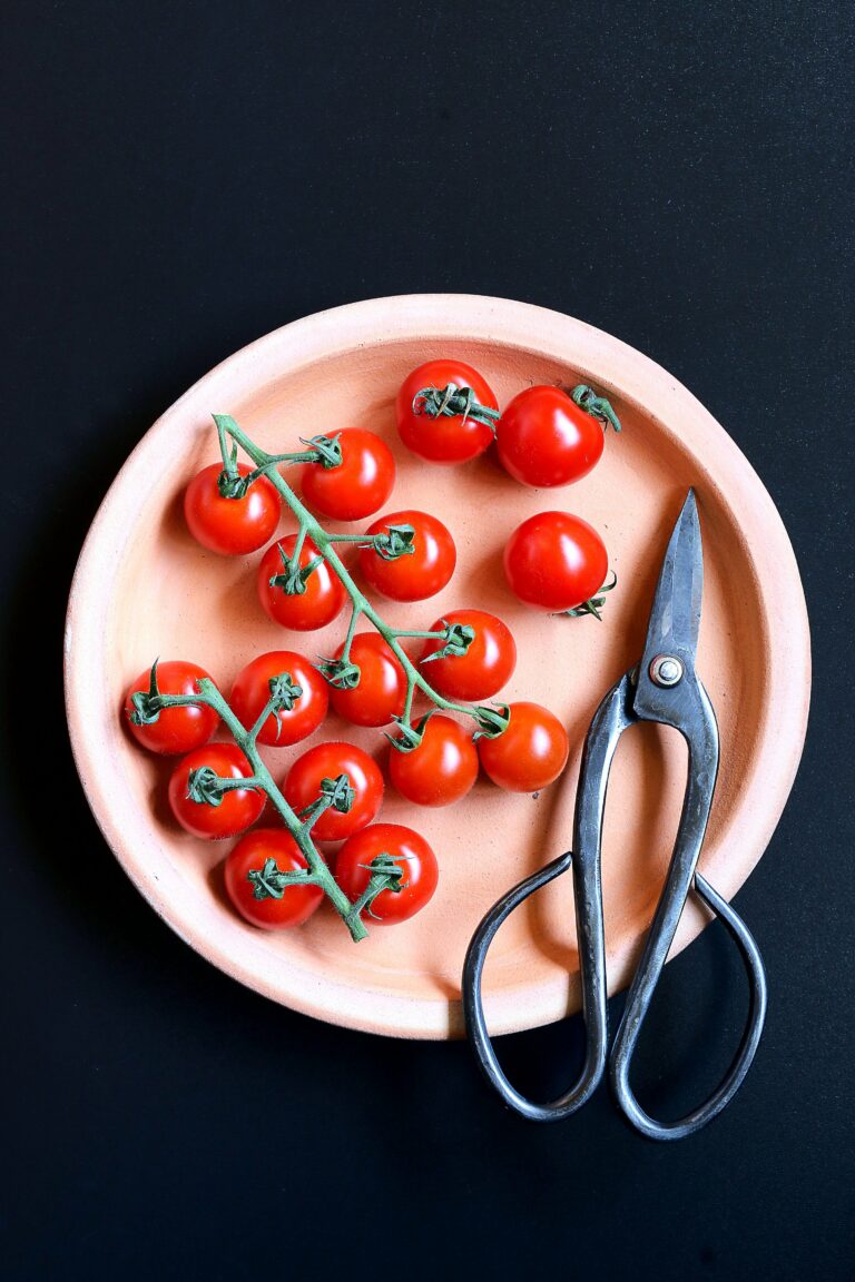 Tomatoes Plate Food