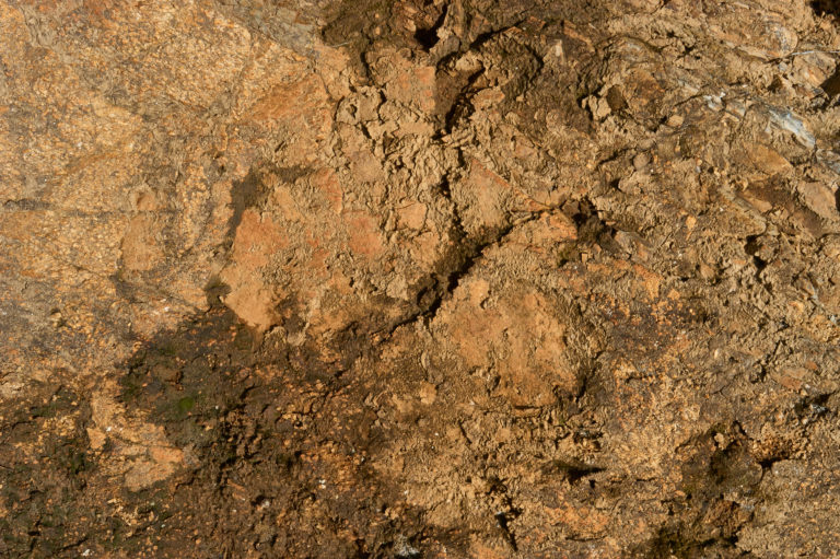Dirt and Rock Texture