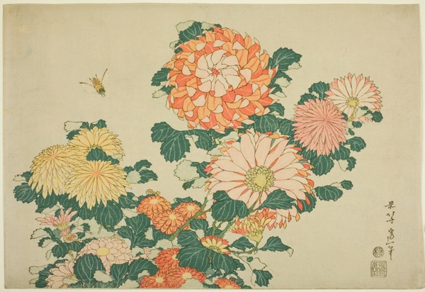 Chrysanthemums and Bee, from an untitled series of Large Flowers