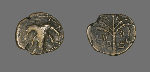 Coin Depicting a Palm Tree