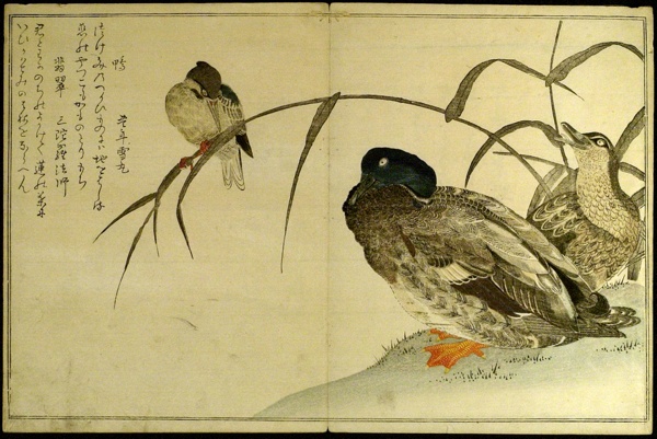 Myriad Birds: A Kyoka Competition (Momo chidori kyoka awase)