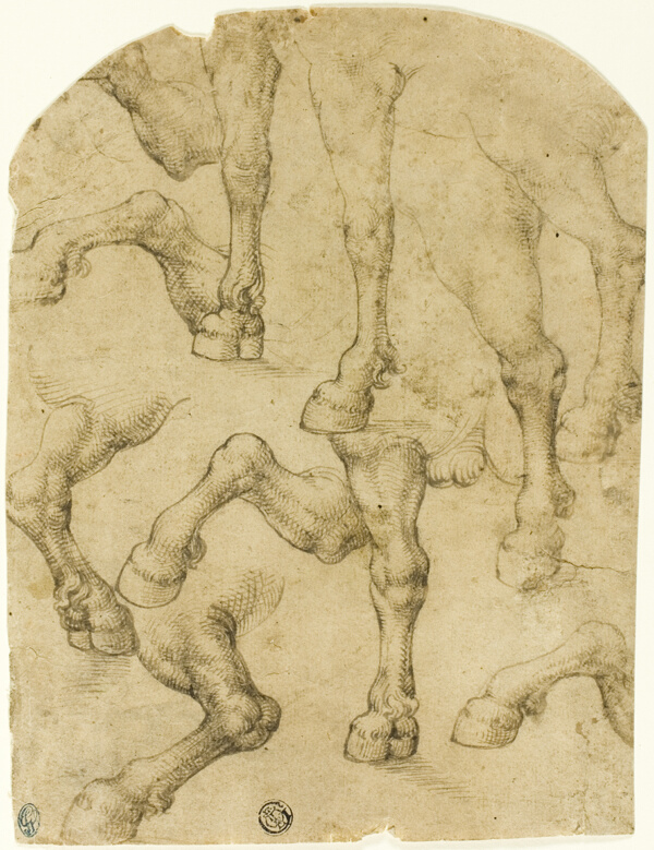 Sketches of Horses' (or Dromedaries') Legs (recto); Columns (verso)