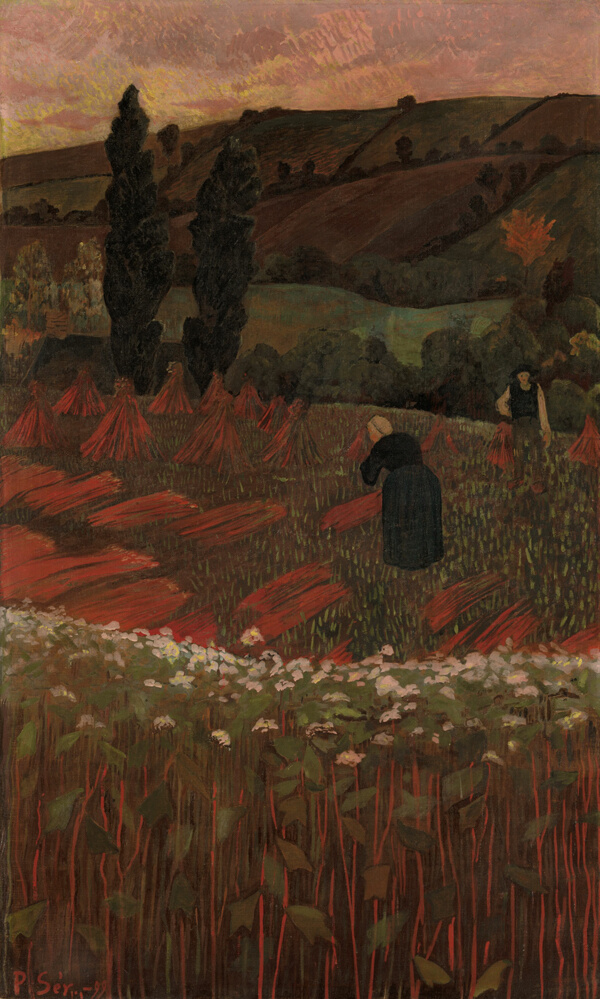 The Harvest of Buckwheat