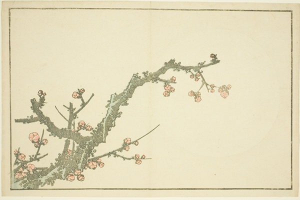 Blooming Plum Tree, from The Picture Book of Realistic Paintings of Hokusai (Hokusai shashin gafu)