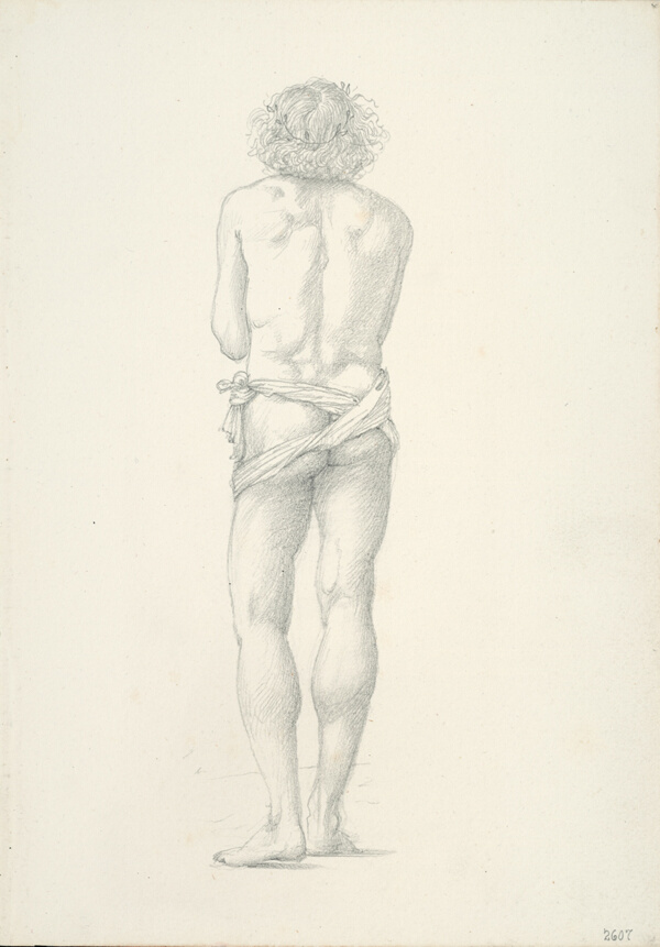 Back View of Standing Male Nude