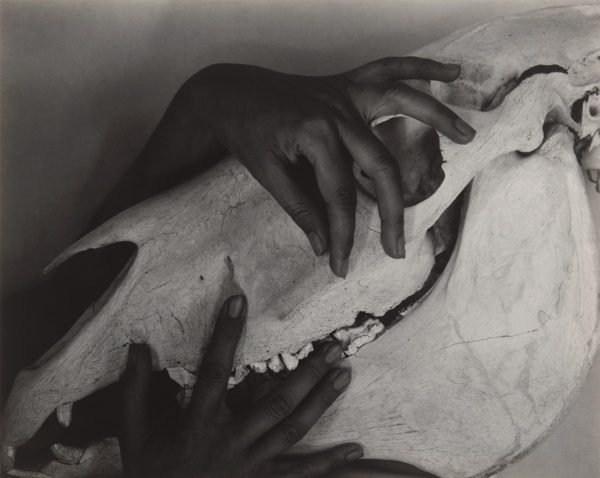 Georgia O'Keeffe - Hands and Horse Skull