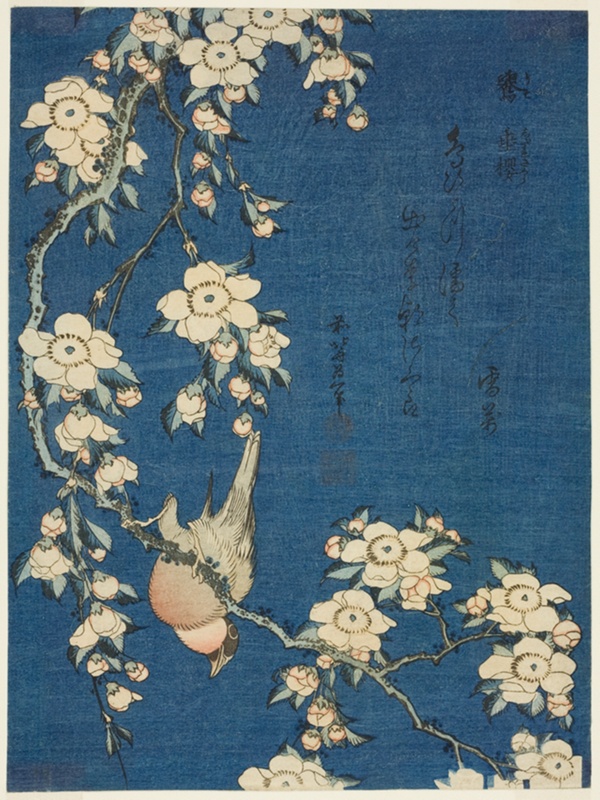 Bullfinch and Weeping Cherry (Uso, shidarezakura), from an untitled series of flowers and birds