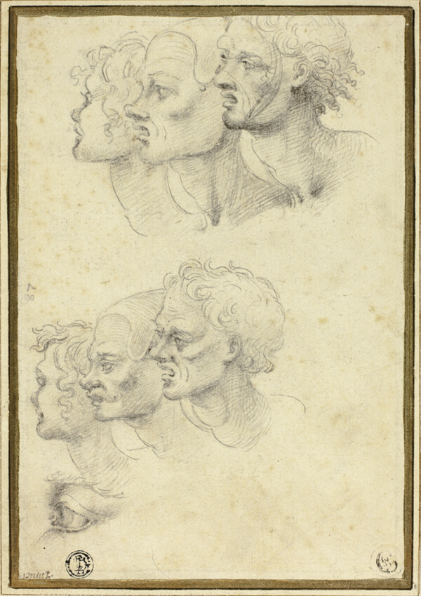 Sketches of Three Male Heads in Profile