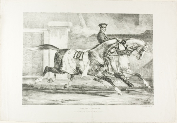 Horses Exercising, plate 6 from Various Subjects Drawn from Life on Stone