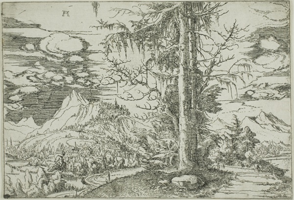 Landscape with A Double Spruce
