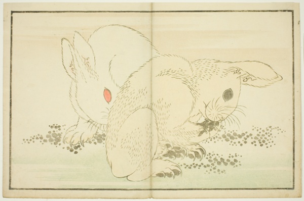Two Rabbits, from The Picture Book of Realistic Paintings of Hokusai (Hokusai shashin gafu)