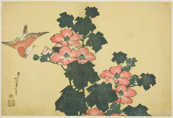 Cotton Roses and Sparrow, from an untitled series of Large Flowers