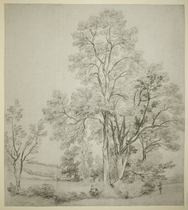 A Stand of Elm Trees (recto); A Study of East Bergholt with the Church (verso)