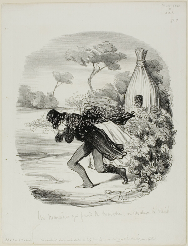 A Gentleman Who Wanted to Study the Habits of Bees too Closely, plate 6 from Pastorales