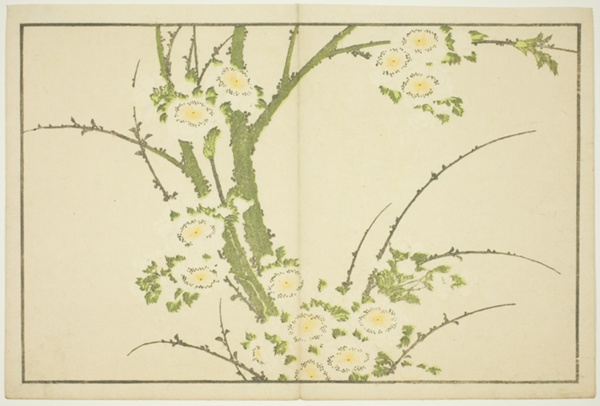 Flowers, from The Picture Book of Realistic Paintings of Hokusai (Hokusai shashin gafu)