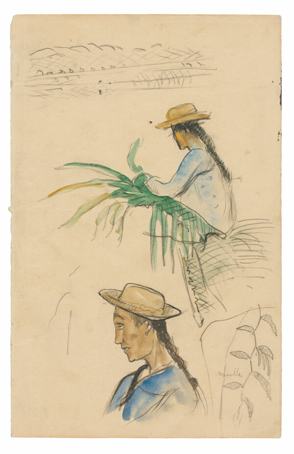 Sketches of Figures, Pandanus Leaf, and Vanilla Plant