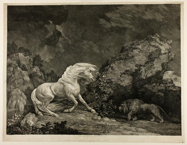 A Horse Affrighted by a Lion