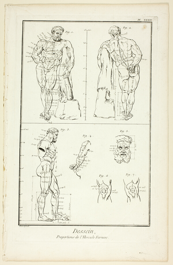 Design: Proportions of the Farnese Hercules, from Encyclopédie