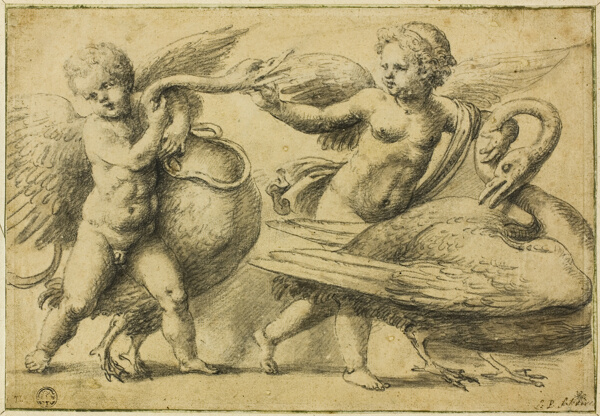 Putti Playing with Swans