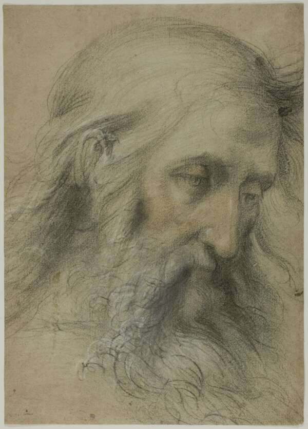 Head of Saint John the Evangelist: Study for the Disputation on the Immaculate Conception