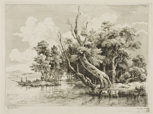 Clump of Trees near the Water