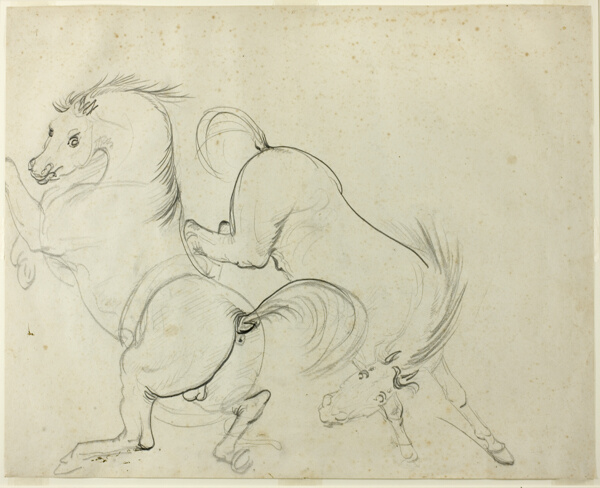 Two Horses Cavorting (recto); Man on a Kicking Horse (verso)
