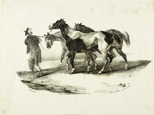 Horses Being Led to the Skinner