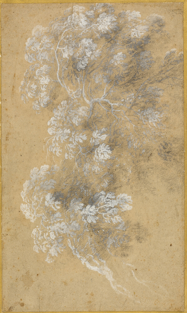 Sketch of Foliage and Branches